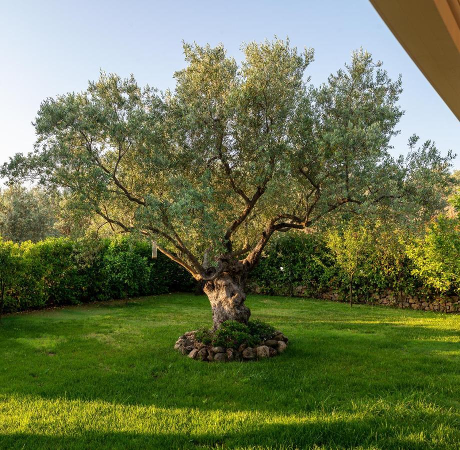 Nikole'S Villas Luxury 180M2 Tiros Bagian luar foto